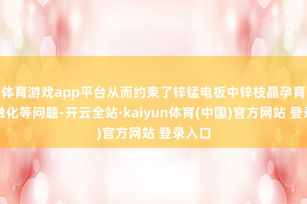 体育游戏app平台从而约束了锌锰电板中锌枝晶孕育和锰融化等问题-开云全站·kaiyun体育(中国)官方网站 登录入口